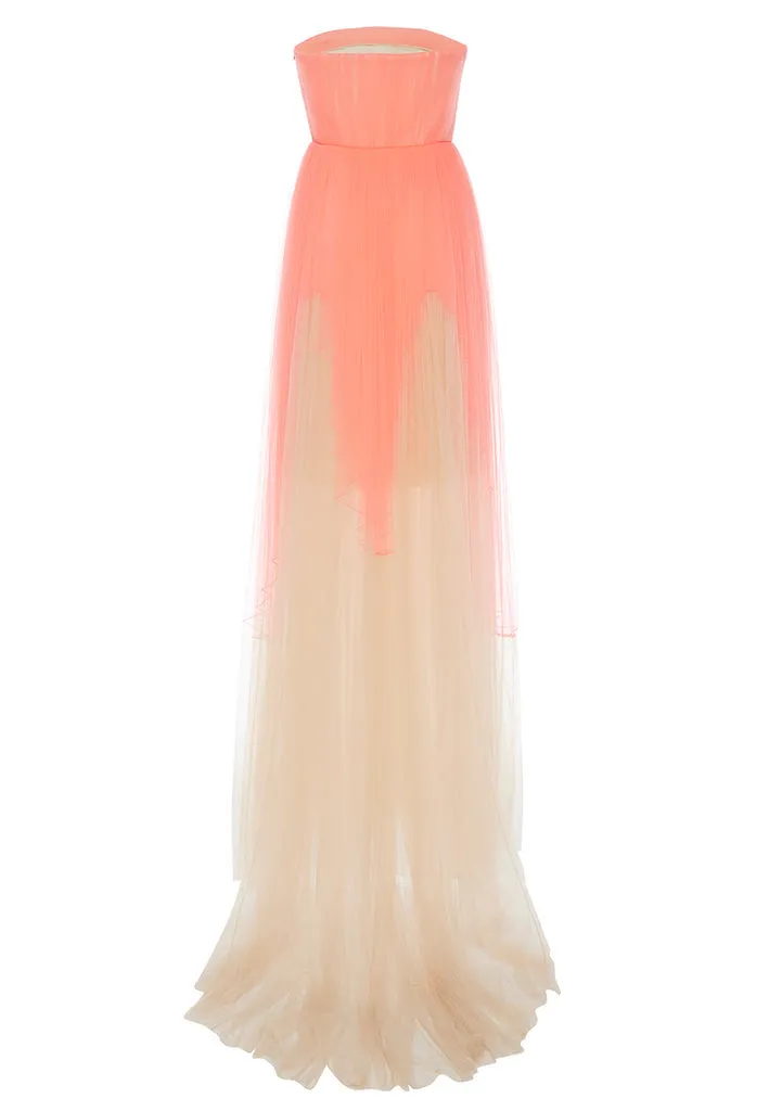 Nude and Pink Butterfly Embroidered Strapless Tulle Gown (Pre-loved)